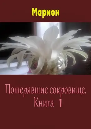 Потерявшие сокровище. Книга 1 [СИ]