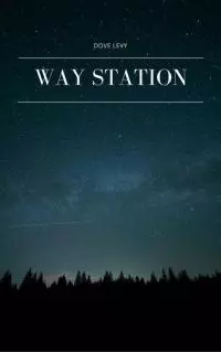 Way Station