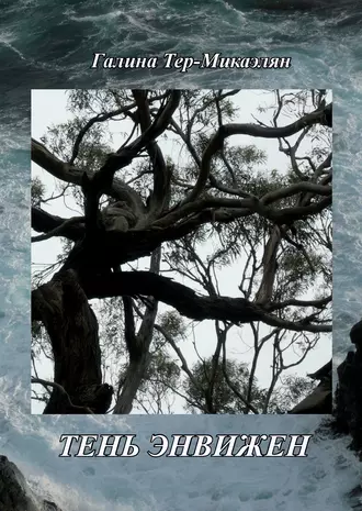 Тень Энвижен
