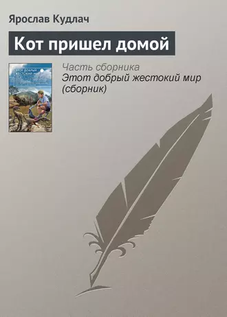 Кот пришел домой