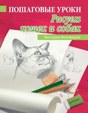 Пошаговые уроки рисования. Рисуем кошек и собак