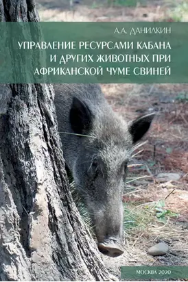 Управление ресурсами кабана и других животных при африканской чуме свиней
