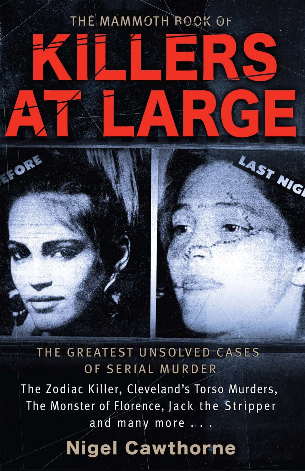 The Mammoth Book of Killers at Large