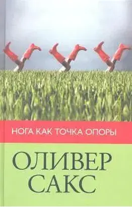 Нога как точка опоры (2012)