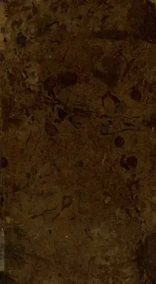 A Voyage to South America: Describing at Large the Spanish Cities, Towns, Provinces, &c. on that Extensive Continent : Vol. II