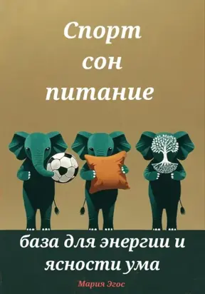 Спорт, сон, питание – база для энергии и ясности ума