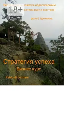 Стратегия успеха