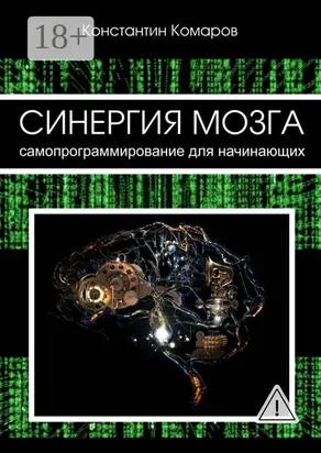 Синергия мозга. Самопрограммирование для начинающих