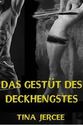 Das Gestüt des Deckhengstes