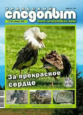 Перплексус