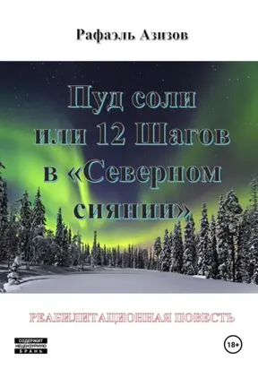 Пуд соли, или 12 Шагов в «Северном сиянии»