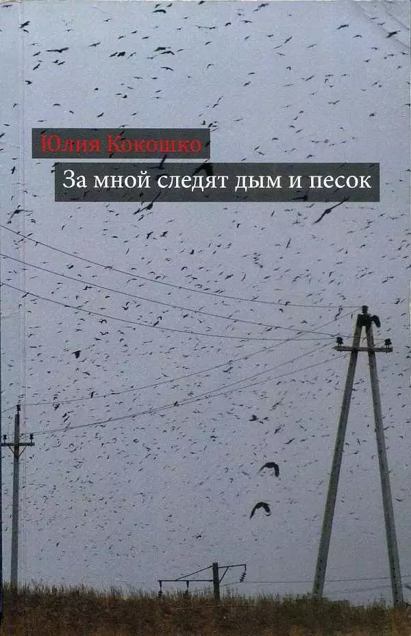 За мной следят дым и песок