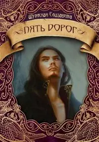 Пять дорог [СИ litres]
