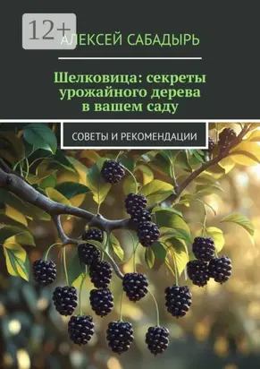 Шелковица: секреты урожайного дерева в вашем саду. Советы и рекомендации