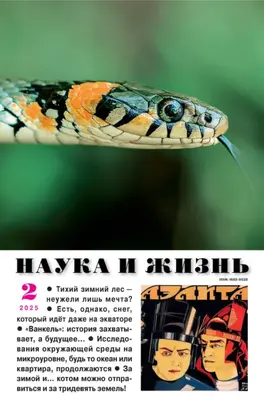 Наука и жизнь №02/2025