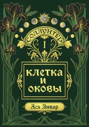 Соллунтер: клетка и оковы