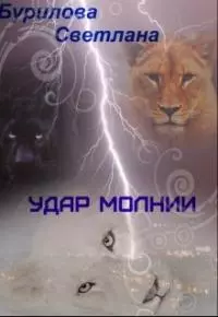 Удар молнии [СИ]