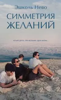 Симметрия желаний [litres]