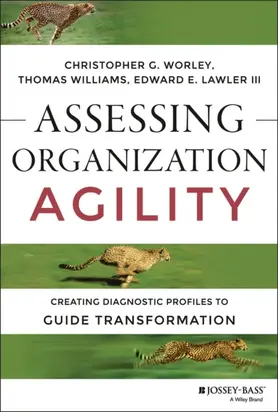 Assessing Organization Agility