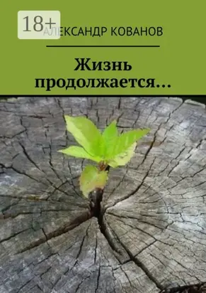 Жизнь продолжается…
