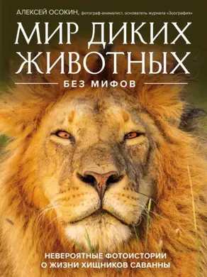 Мир диких животных без мифов. Невероятные фотоистории о жизни хищников саванны
