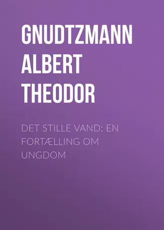 Det stille Vand: En Fortælling om Ungdom