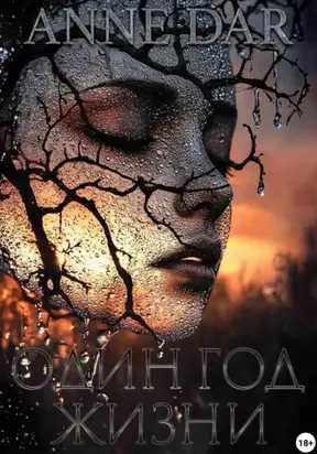 Один год жизни