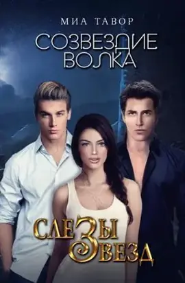 Слезы звезд (СИ)