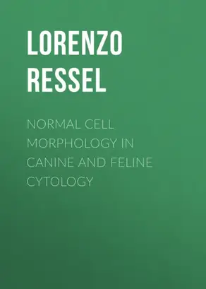Normal Cell Morphology in Canine and Feline Cytology