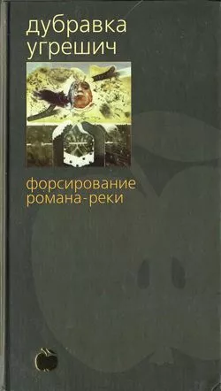 Форсирование романа-реки