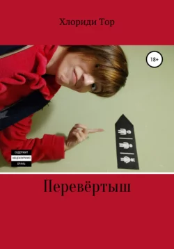 Перевёртыш