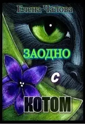 Заодно с котом [СИ]