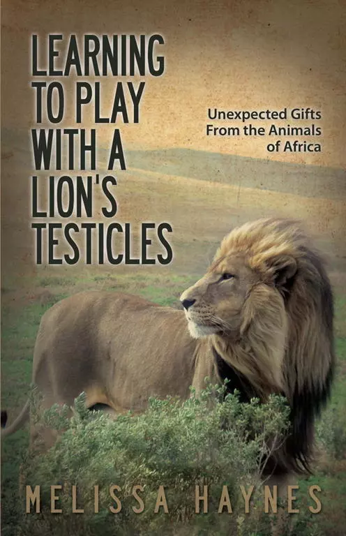 Learning to Play with a Lion's Testicles