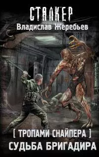 Судьба Бригадира [litres]