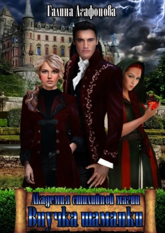 Академия стихийных магов. Внучка шаманки