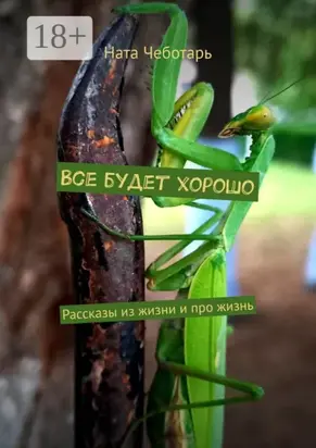 Все будет хорошо. Рассказы из жизни и про жизнь