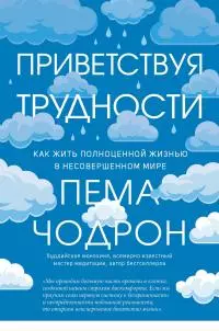 Приветствуя трудности [Как жить полноценной жизнью в несовершенном мире] [litres]