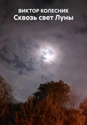 СКВОЗЬ СВЕТ ЛУНЫ