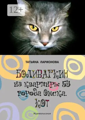 Боливаркин из квартиры 53 города Омска. Кот. Жизнеописание