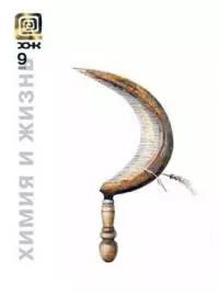 Служебный маг