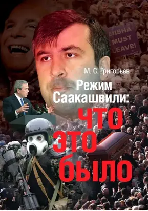 Режим М. Саакашвили: что это было