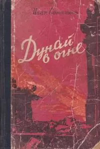 Дунай в огне. Прага зовет [Роман]