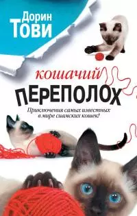 Кошачий переполох [сборник]