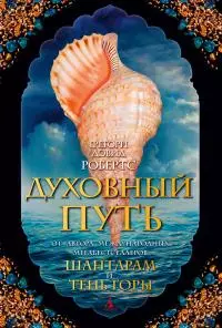 Духовный путь [litres]