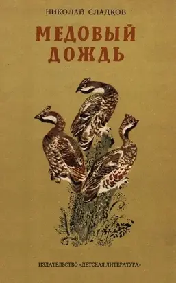 Медовый дождь