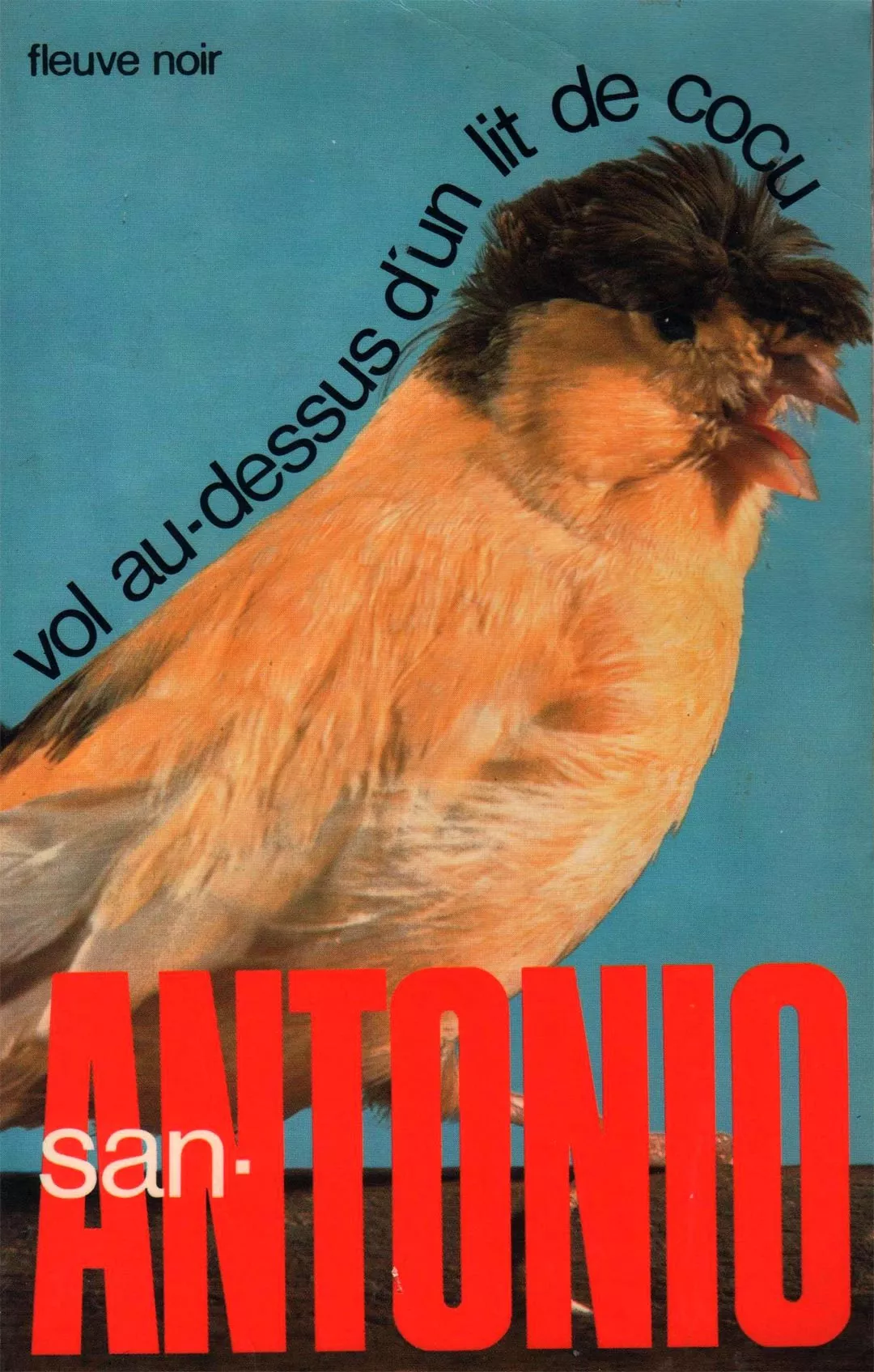 Vol au-dessus d'un lit de cocu