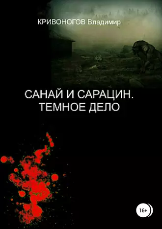 Санай и Сарацин. Темное дело