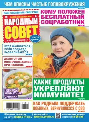 Народный совет №45/2024
