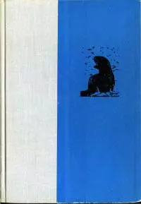 Каланы возвращаются на берег