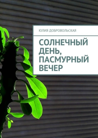 Солнечный день, пасмурный вечер